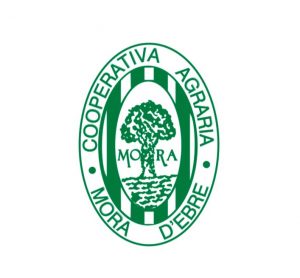 Logo cooperativa